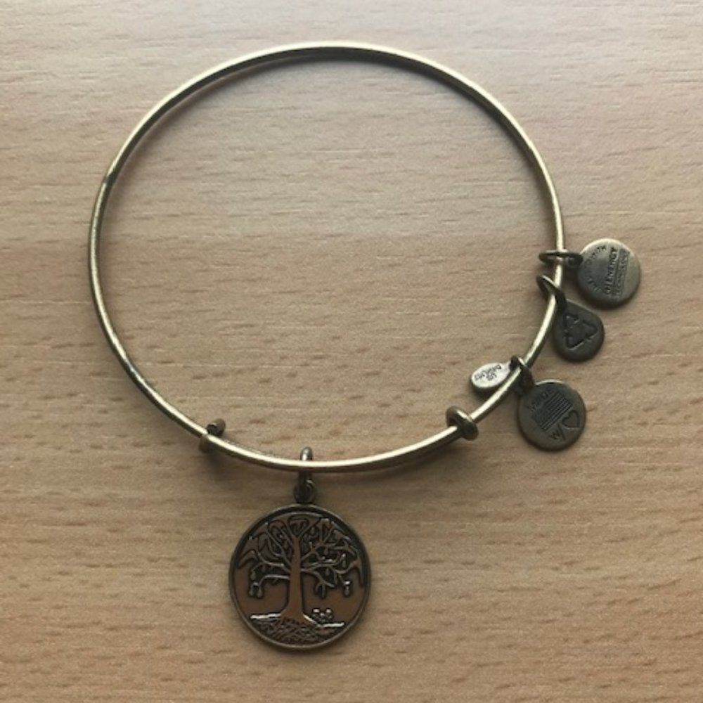 Alex and Ani Tree of Life Wire Bracelet